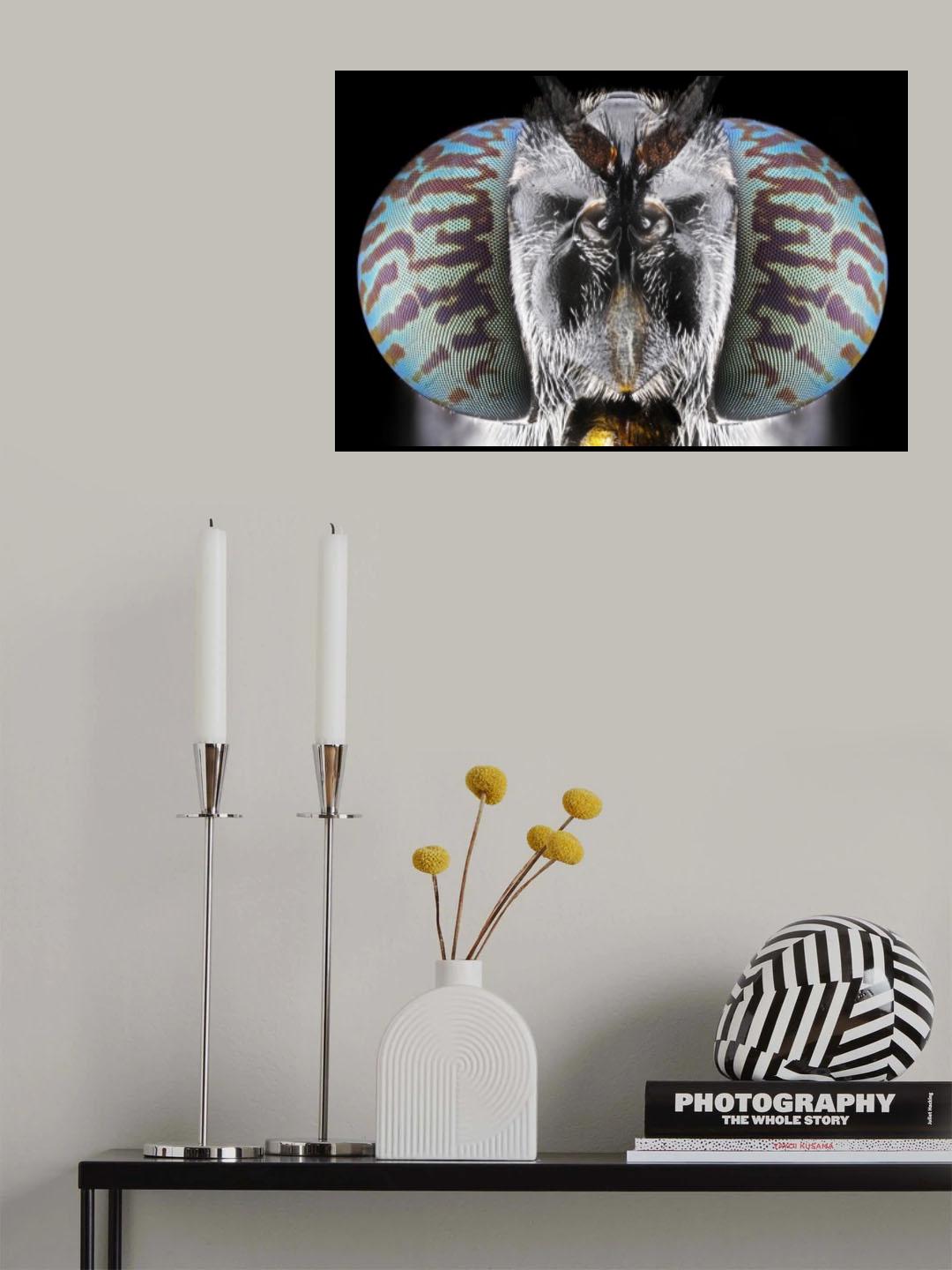Soldier Fly Poster och Canvastavla