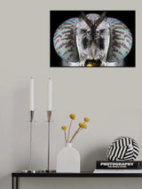 Soldier Fly Poster och Canvastavla