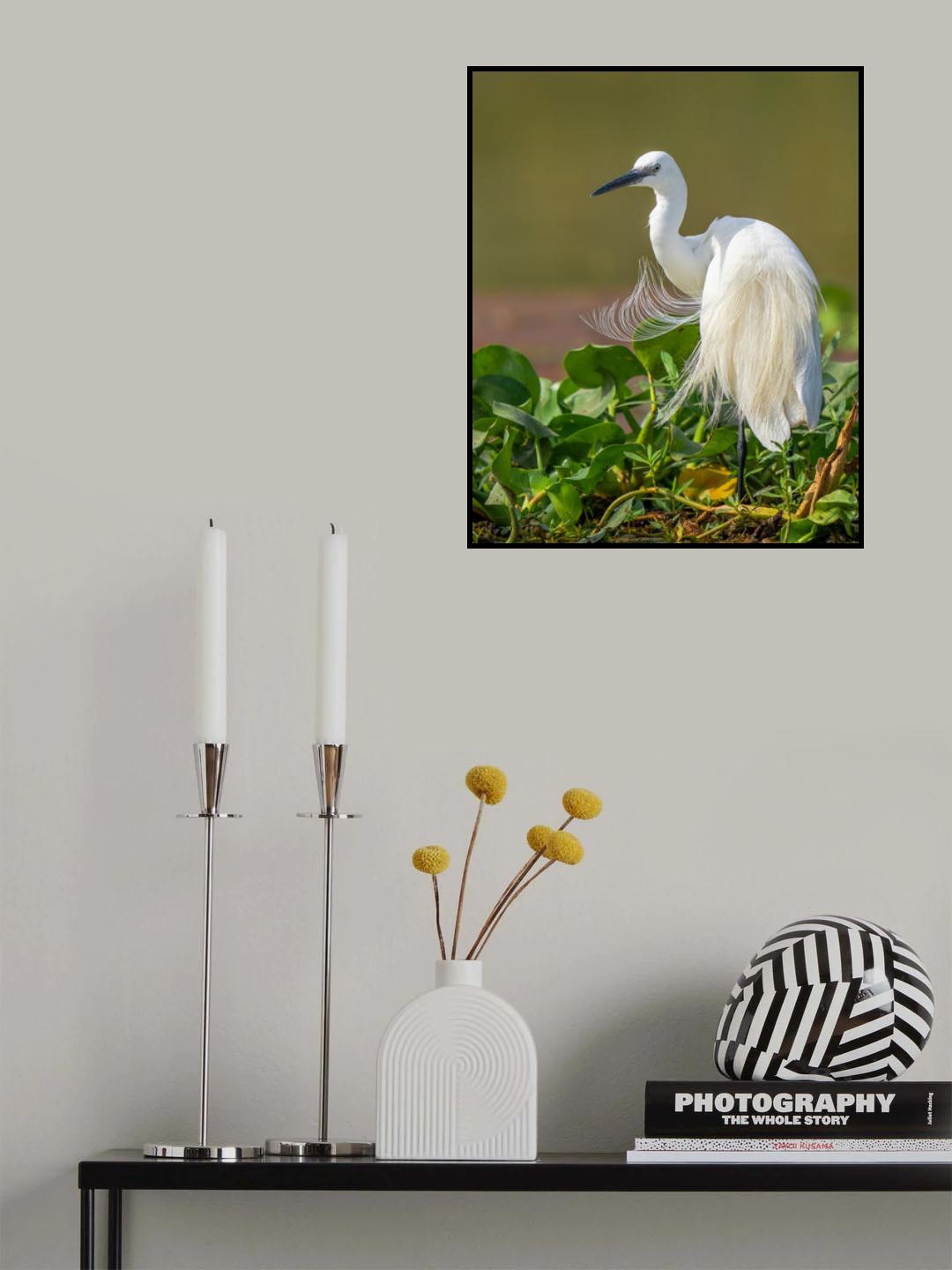 Poster och Canvastavla