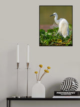 Poster och Canvastavla