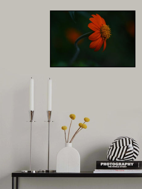 Lust for life Poster och Canvastavla