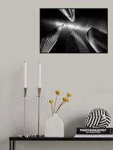 Meitnerium Poster och Canvastavla