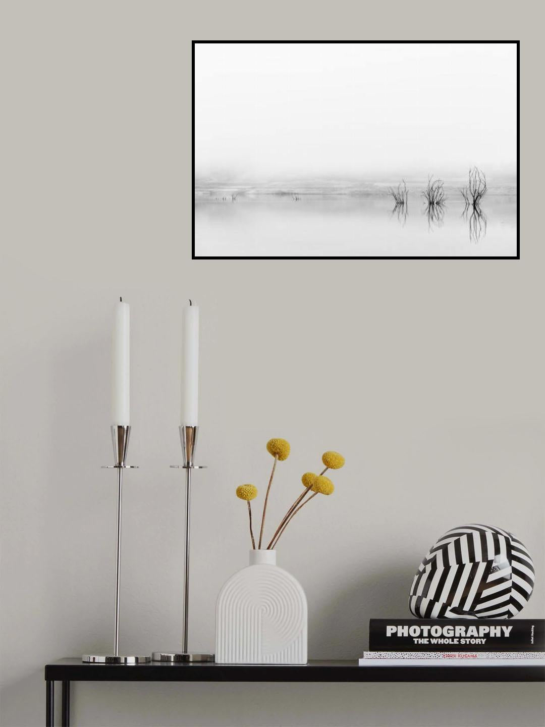 Reflejos en la niebla Poster och Canvastavla