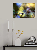At first light Poster och Canvastavla