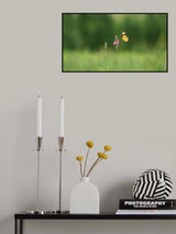 taken with panasonic fz300 Poster och Canvastavla