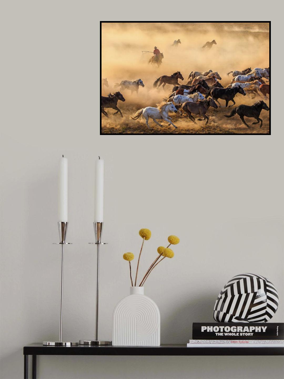 Horse run Poster och Canvastavla