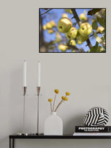 Fruitful Poster och Canvastavla