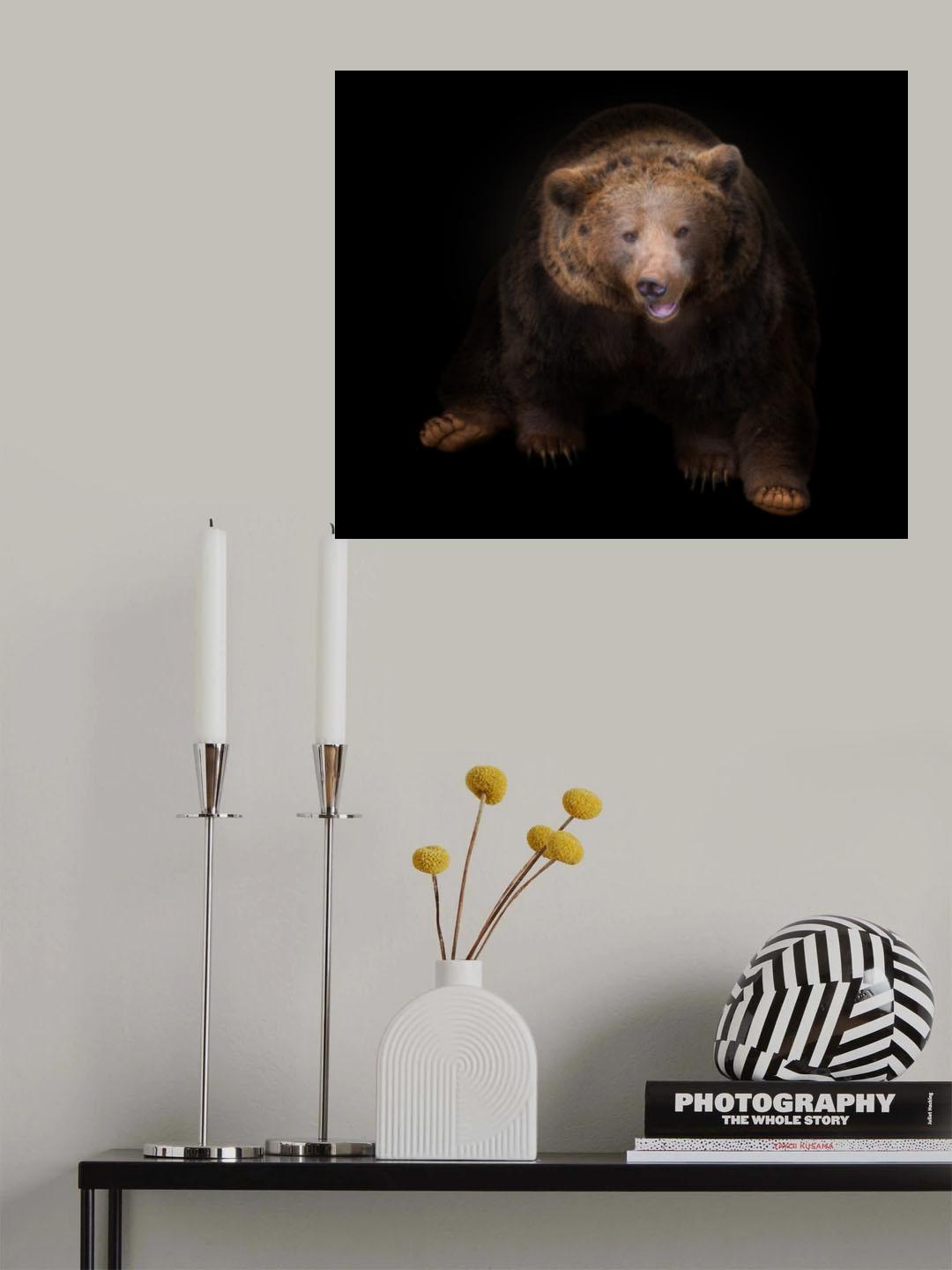 bear Poster och Canvastavla