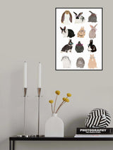 Rabbit Family Poster och Canvastavla