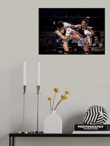 Fighters Poster och Canvastavla