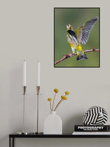 Poster och Canvastavla