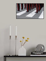 Zebra Poster och Canvastavla