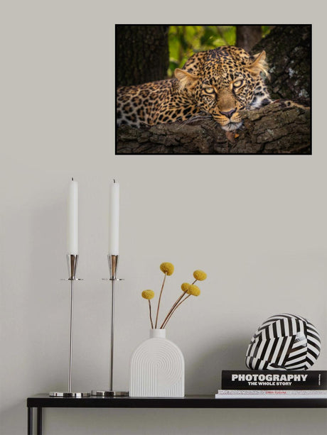 Look into my eyes Poster och Canvastavla