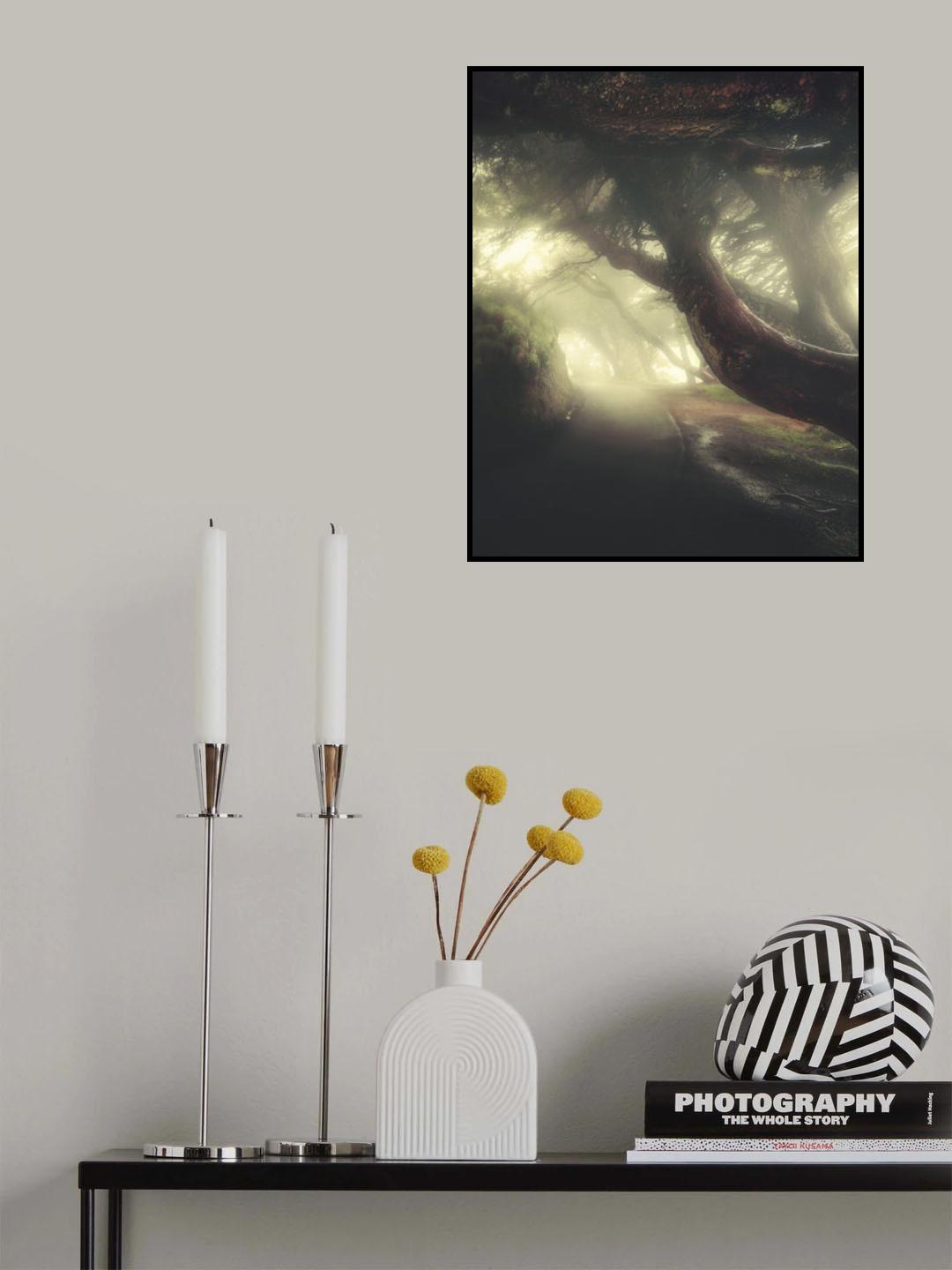 Into the woods Poster och Canvastavla