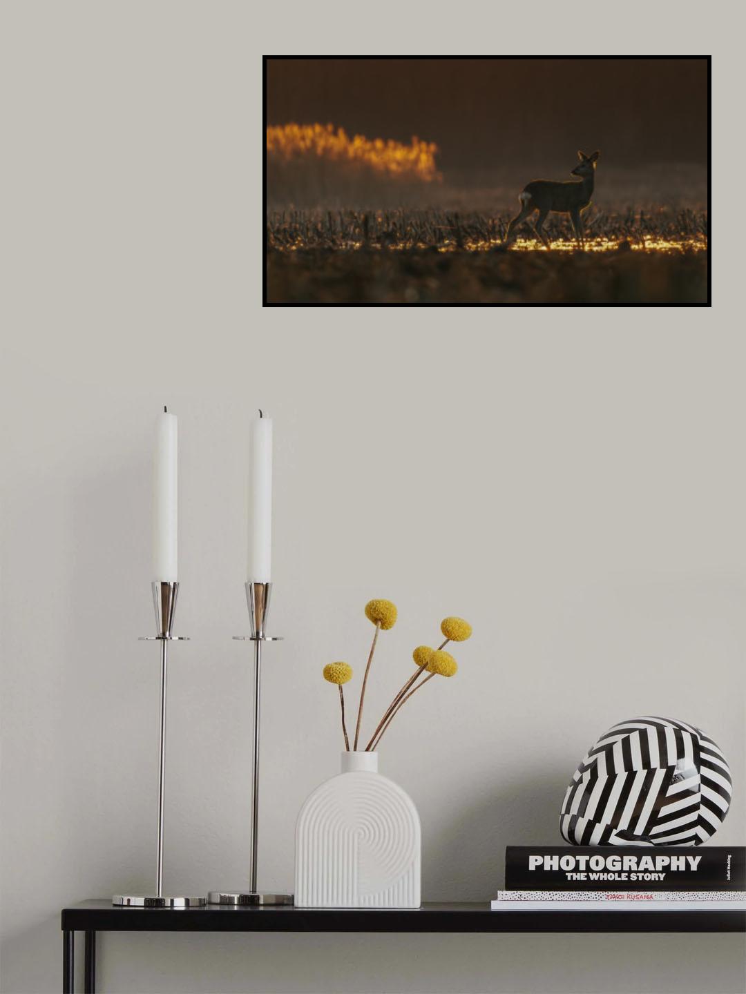 Poster och Canvastavla