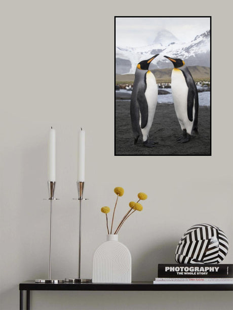 Love Brids Poster och Canvastavla