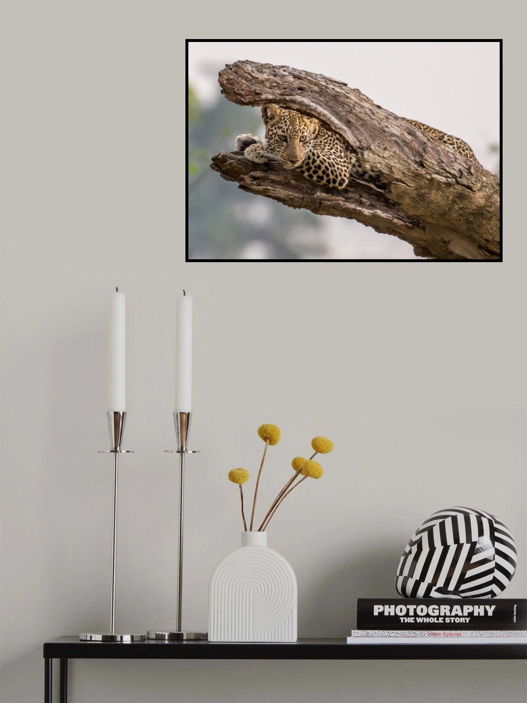 Hide and Seek Poster och Canvastavla
