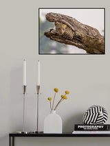 Hide and Seek Poster och Canvastavla