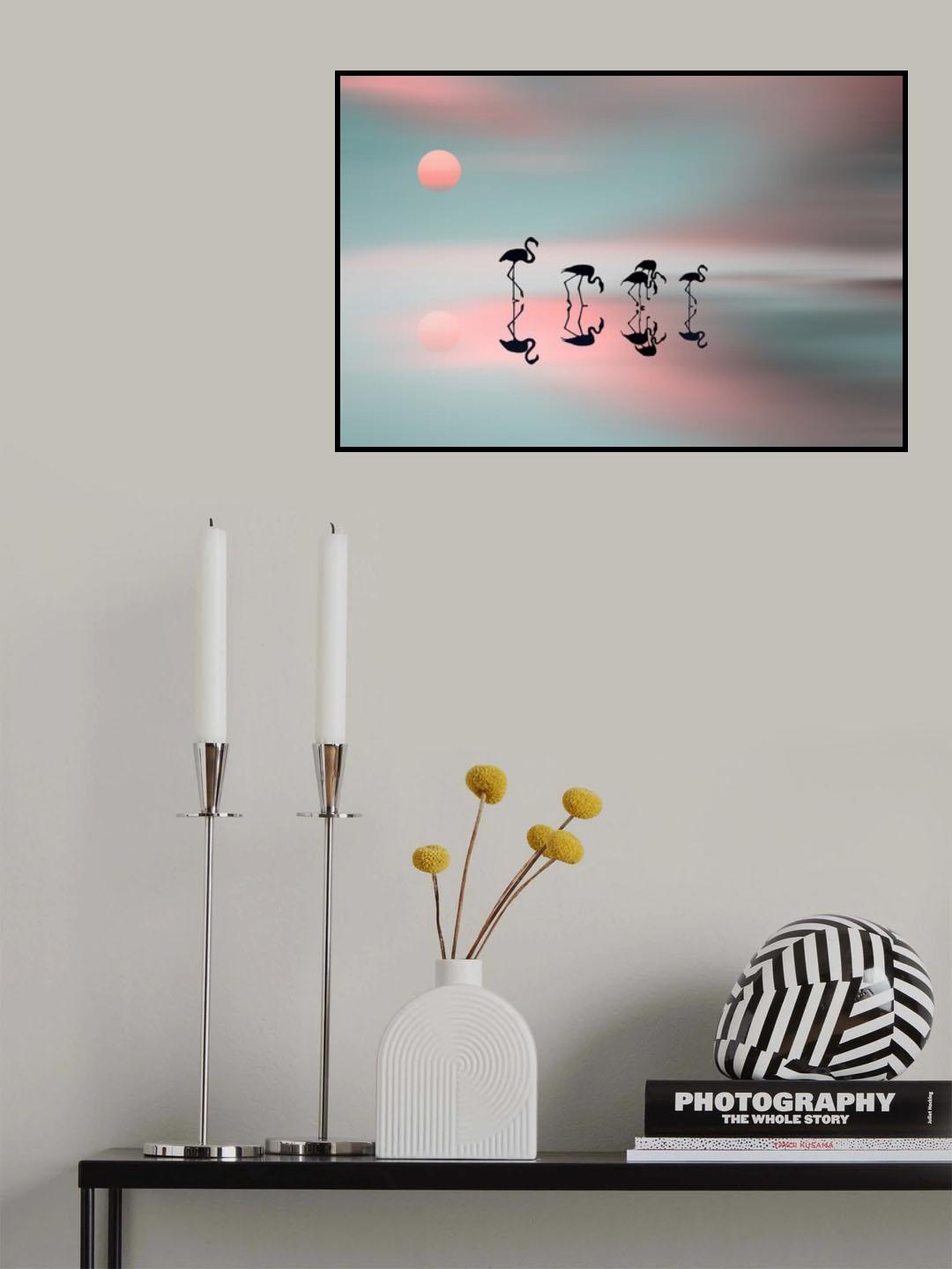 Family flamingos. Poster och Canvastavla