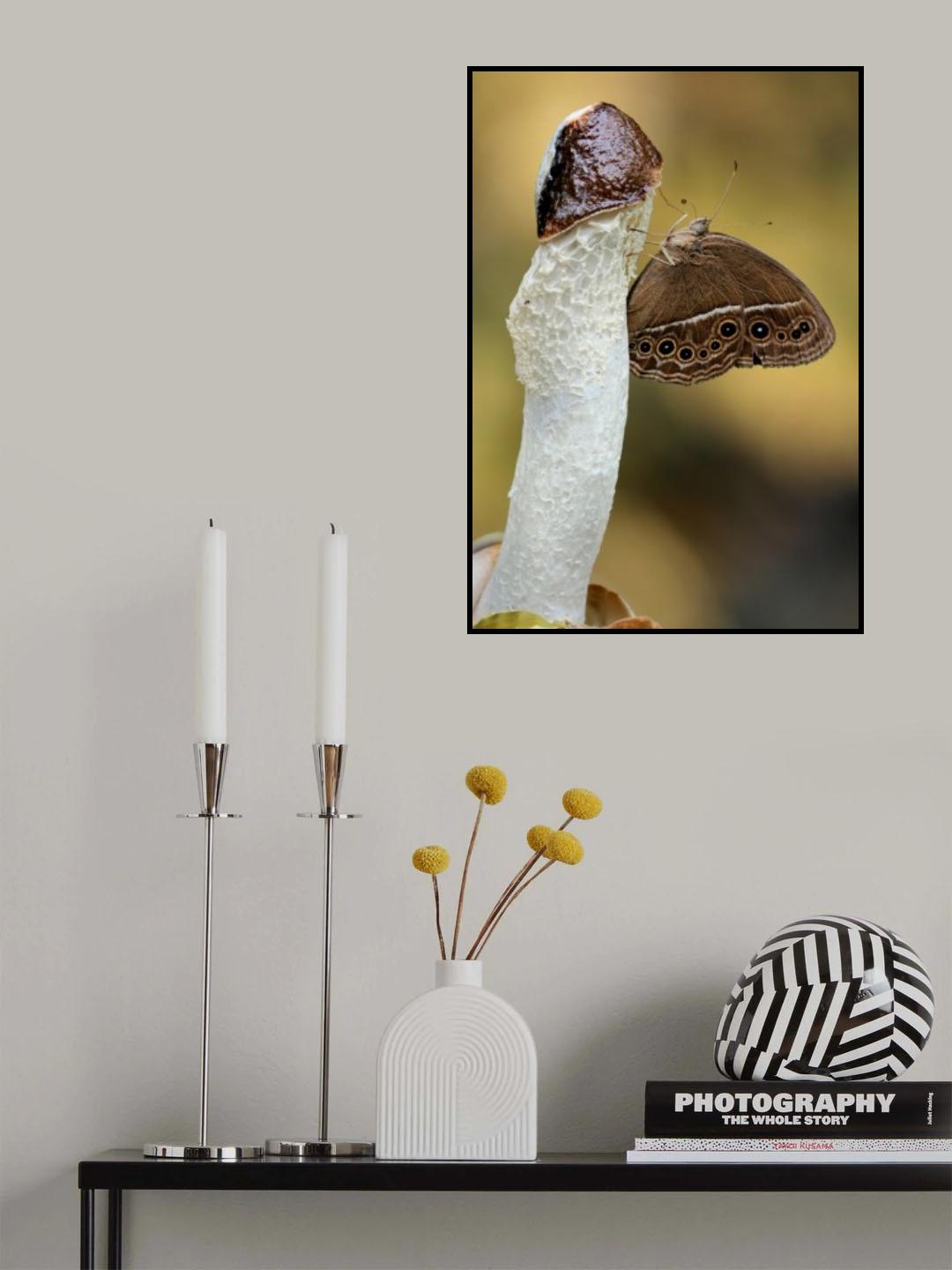 Little sucker Poster och Canvastavla