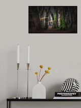 Dream forest Poster och Canvastavla