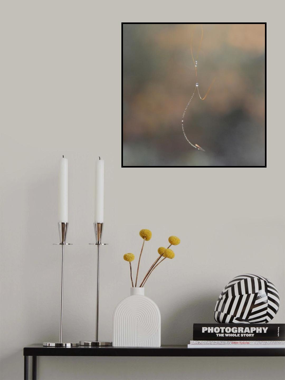 Suggestion for a present? Poster och Canvastavla