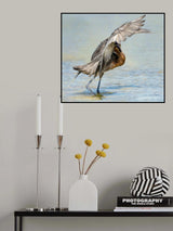 Flamenco Dancer Poster och Canvastavla