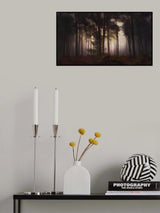 Foggy memory  of the past Poster och Canvastavla