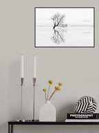 Tree and Ducks Poster och Canvastavla