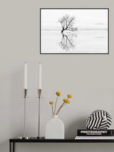 Tree and Ducks Poster och Canvastavla