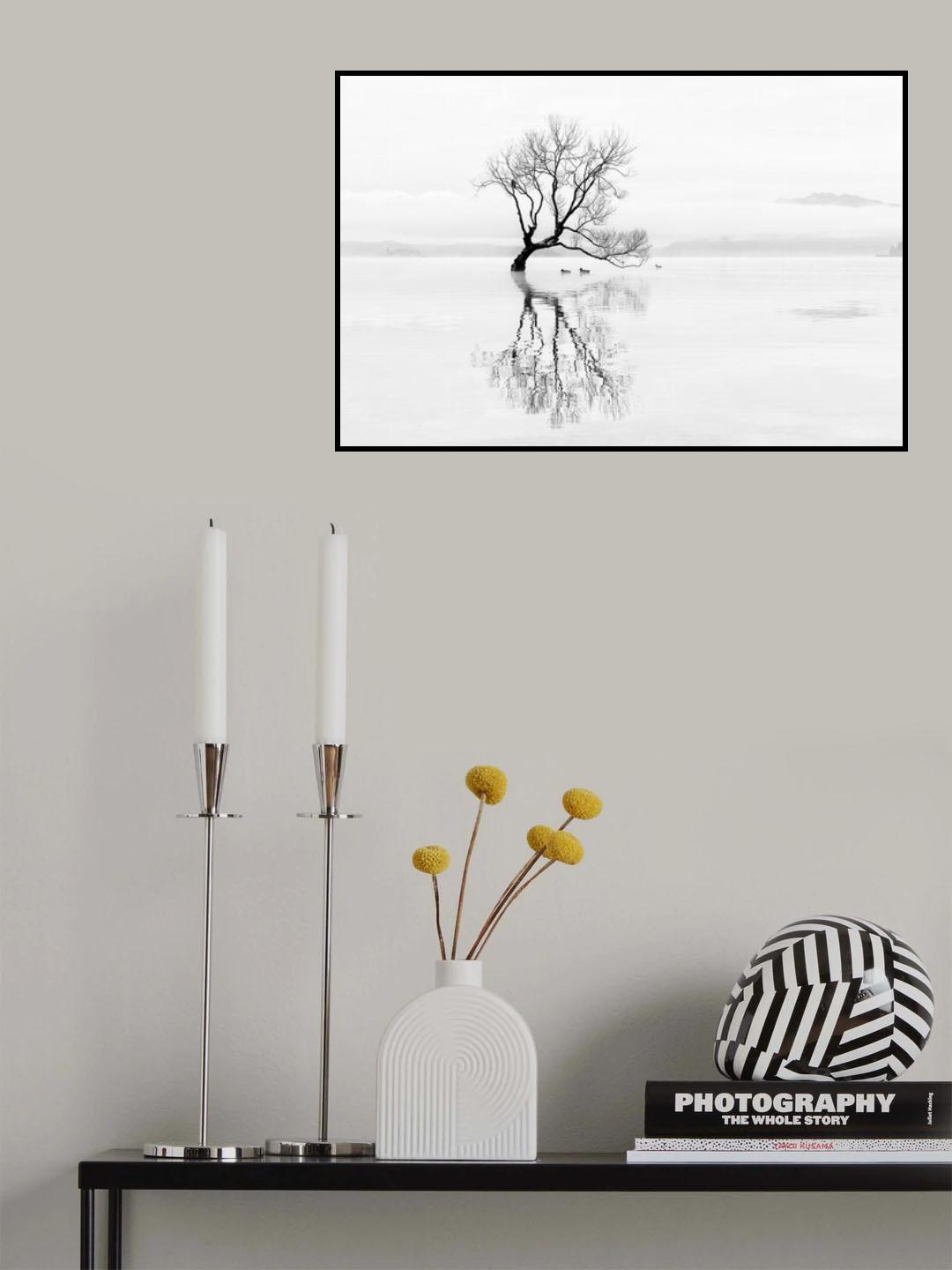 Tree and Ducks Poster och Canvastavla