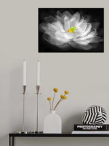 Illusion Poster och Canvastavla