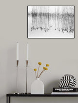 reed Poster och Canvastavla