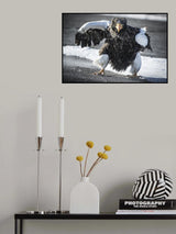 Cat's eye Poster och Canvastavla