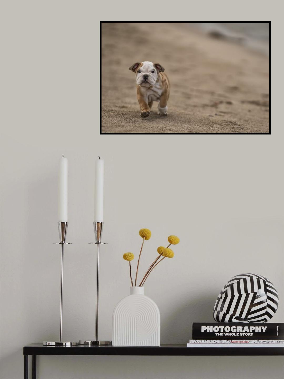 It is a big, big world Poster och Canvastavla