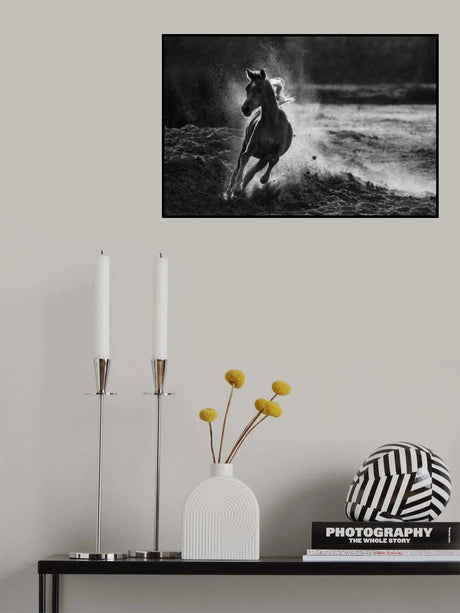 Take off Poster och Canvastavla