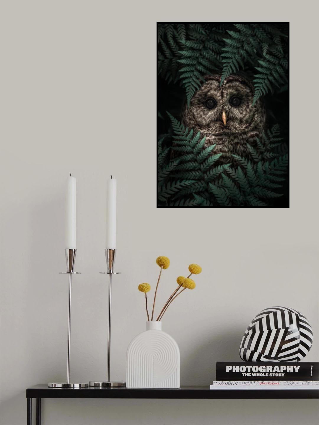 The Owl in Ferns Poster och Canvastavla