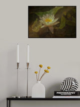 In the pond Poster och Canvastavla