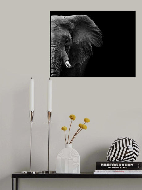 Elephant Poster och Canvastavla