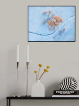 Two Trees Poster och Canvastavla
