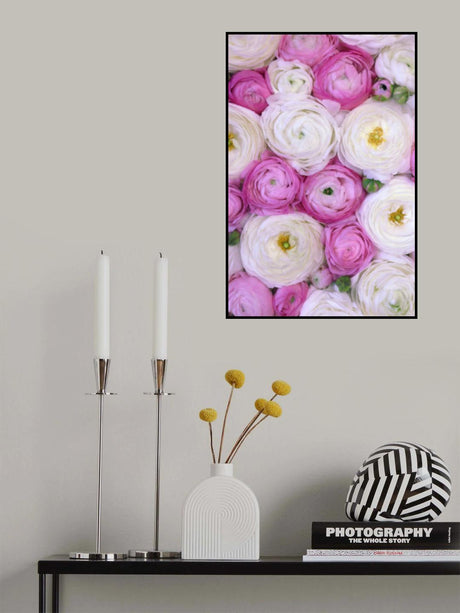 Scattered ranunculus in pink I Poster och Canvastavla