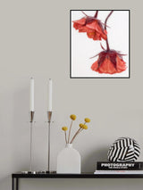 Red and Wet Poster och Canvastavla