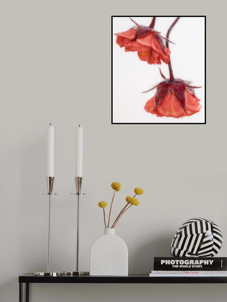Red and Wet Poster och Canvastavla