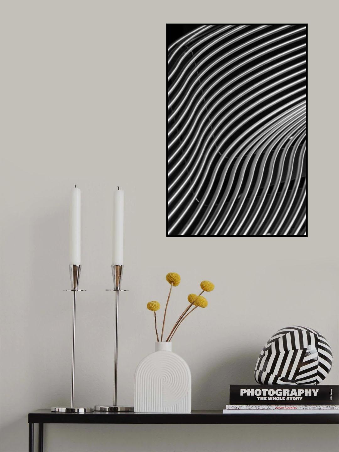 Curves Poster och Canvastavla