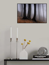 In the misty forest Poster och Canvastavla