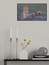 Follow tight Poster och Canvastavla