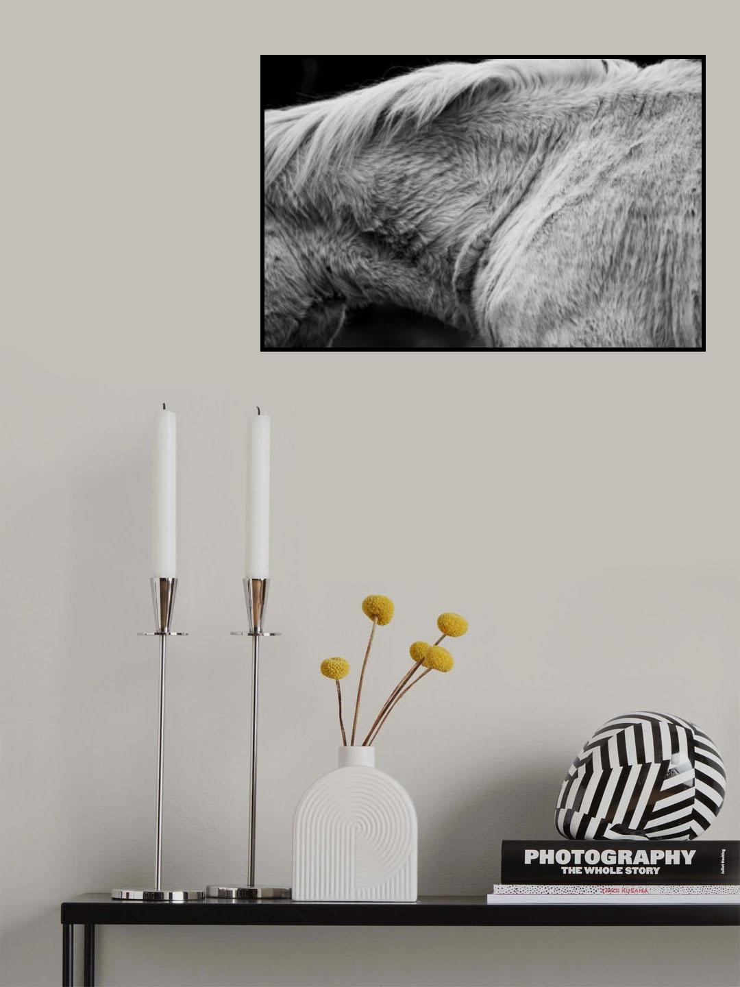 Horse II Poster och Canvastavla