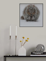 Resilience Poster och Canvastavla