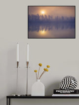 Misty trees Poster och Canvastavla