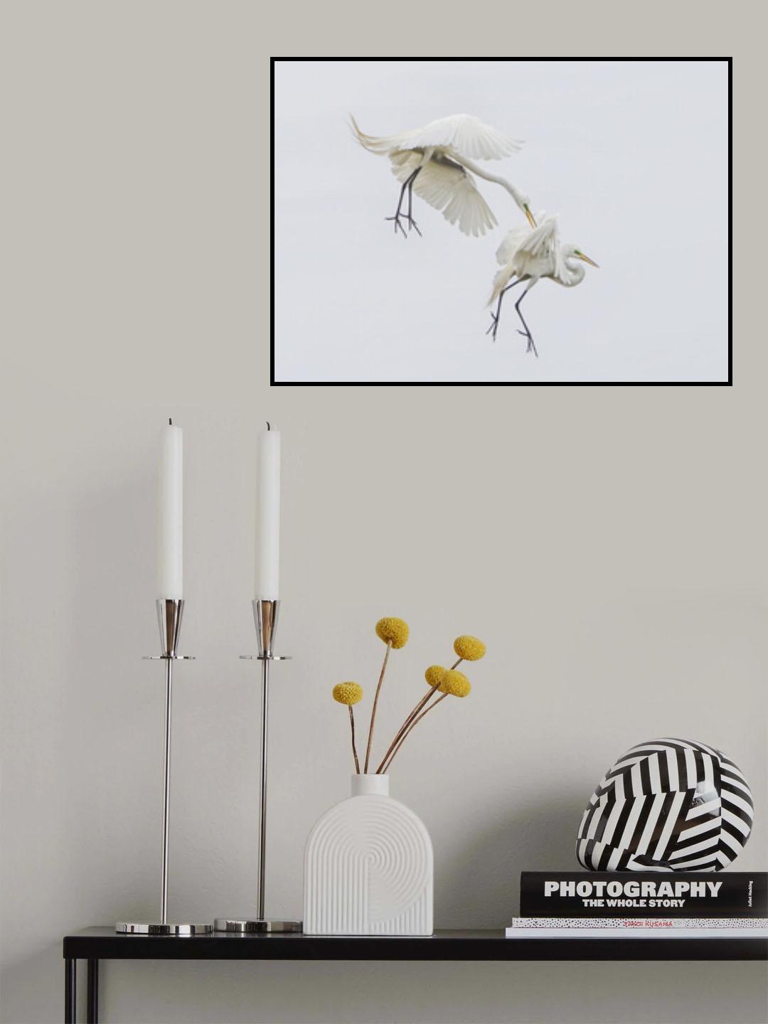 Chasing closely Poster och Canvastavla